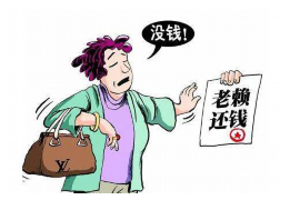 甘孜工资清欠服务